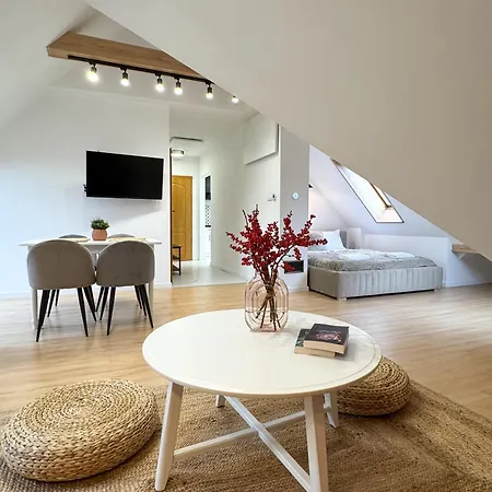 Apartment Parkova - Termy, Centrum, Park *