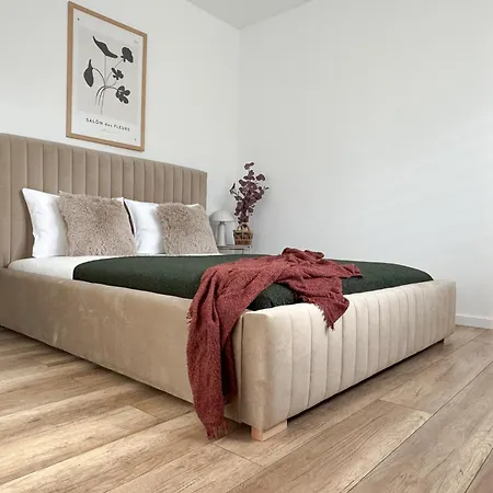 Apartmán Parkova - Termy, Centrum, Park *